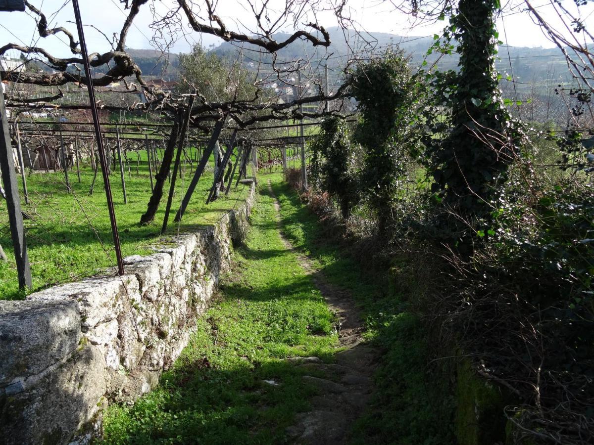 הוילה רסנדה Quinta De S. Cipriano מראה חיצוני תמונה