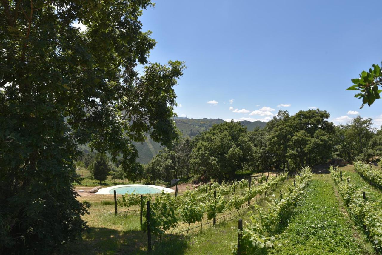 הוילה רסנדה Quinta De S. Cipriano מראה חיצוני תמונה